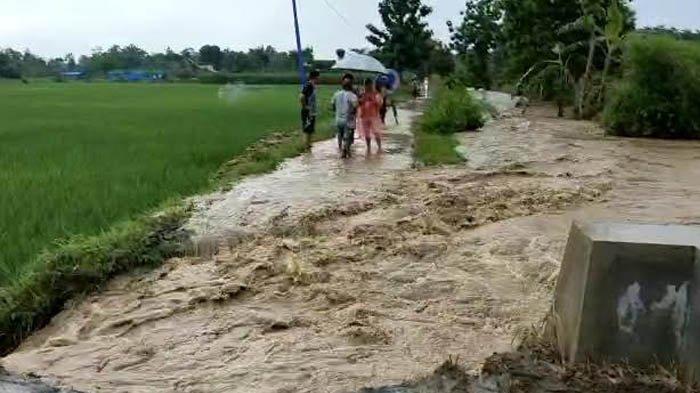 Jadi Pemicu Banjir Di Tulungagung Pplh Mangkubumi Menyarankan Area Hutan Gundul Dikelola Rakyat